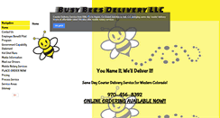 Desktop Screenshot of busybeesdelivery.com